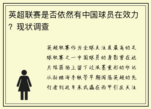 英超联赛是否依然有中国球员在效力？现状调查
